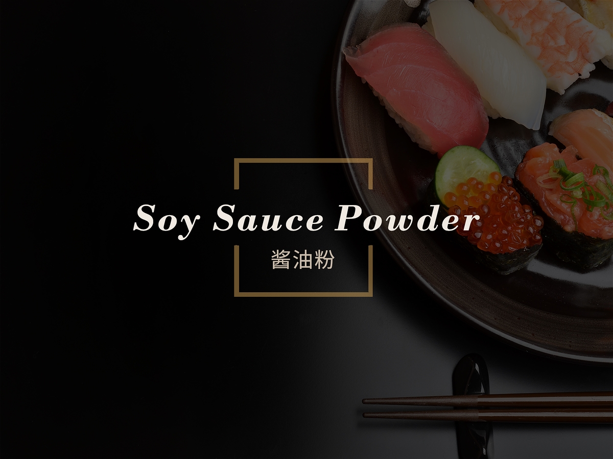 Soy Sauce Powder Aipu Food Industry